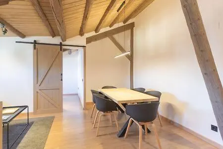 La Guineu Apartment Puigcerda